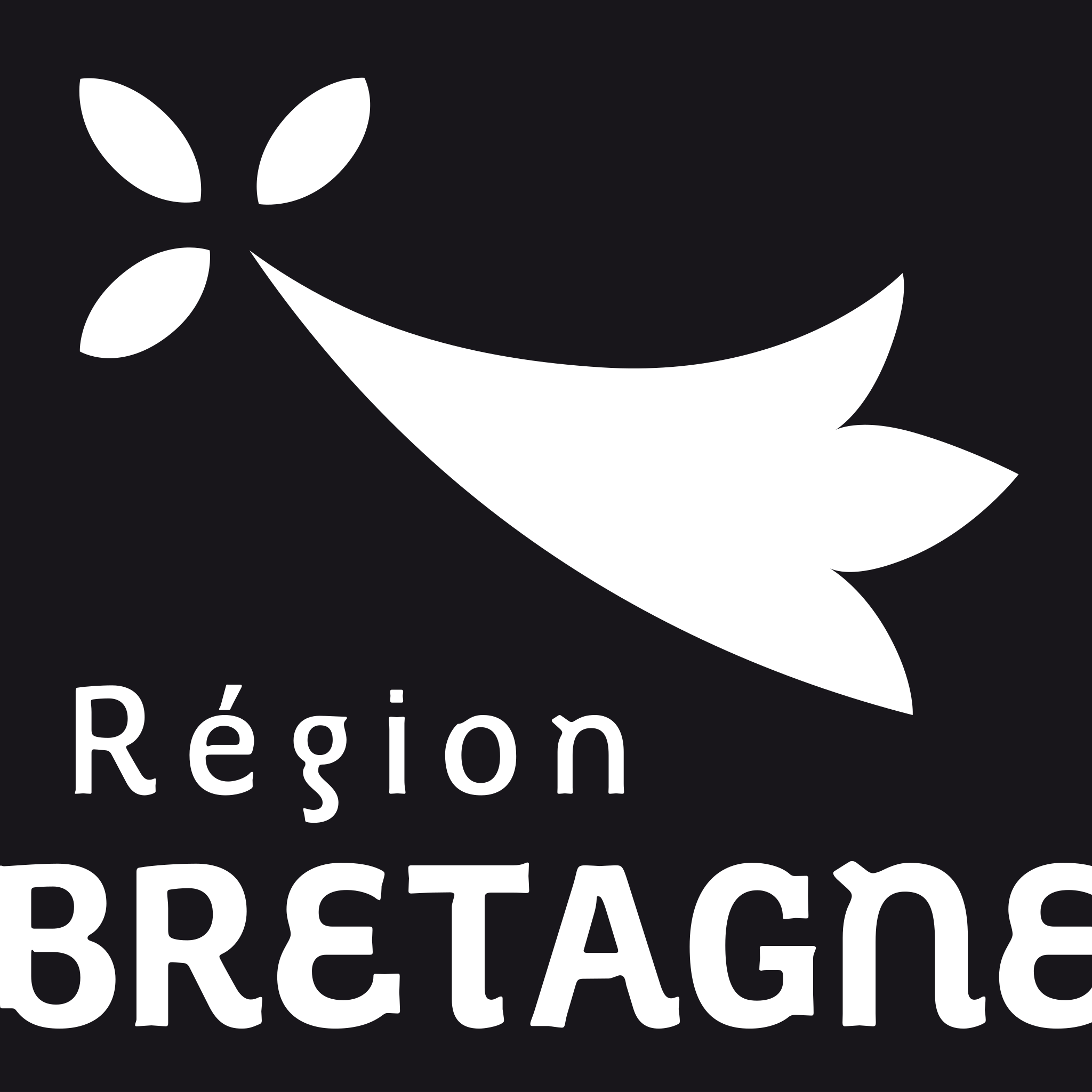 Région Bretagne logo, Smart Specialisation Strategy S3 regional support for Marine Weather Intelligence